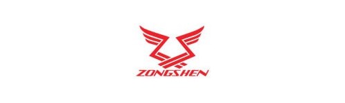 ZONGSHEN