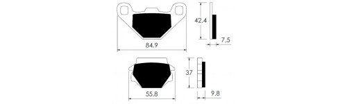 BATAVUS